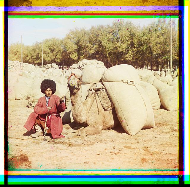 Man with camel loaded with packs.